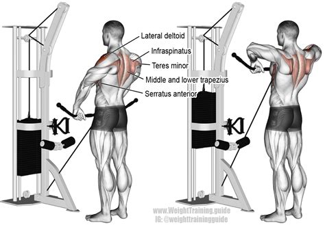 Cable upright row - The rope should be close to the body as you move it up. Continue to lift it until it nearly touches your chin. Your elbows should drive the motion. As you lift ...